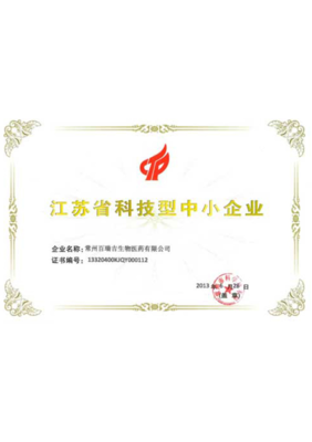 江蘇企業(yè)網(wǎng)站發(fā)展大事記 從門(mén)戶(hù)初建到數(shù)字生態(tài)演進(jìn)